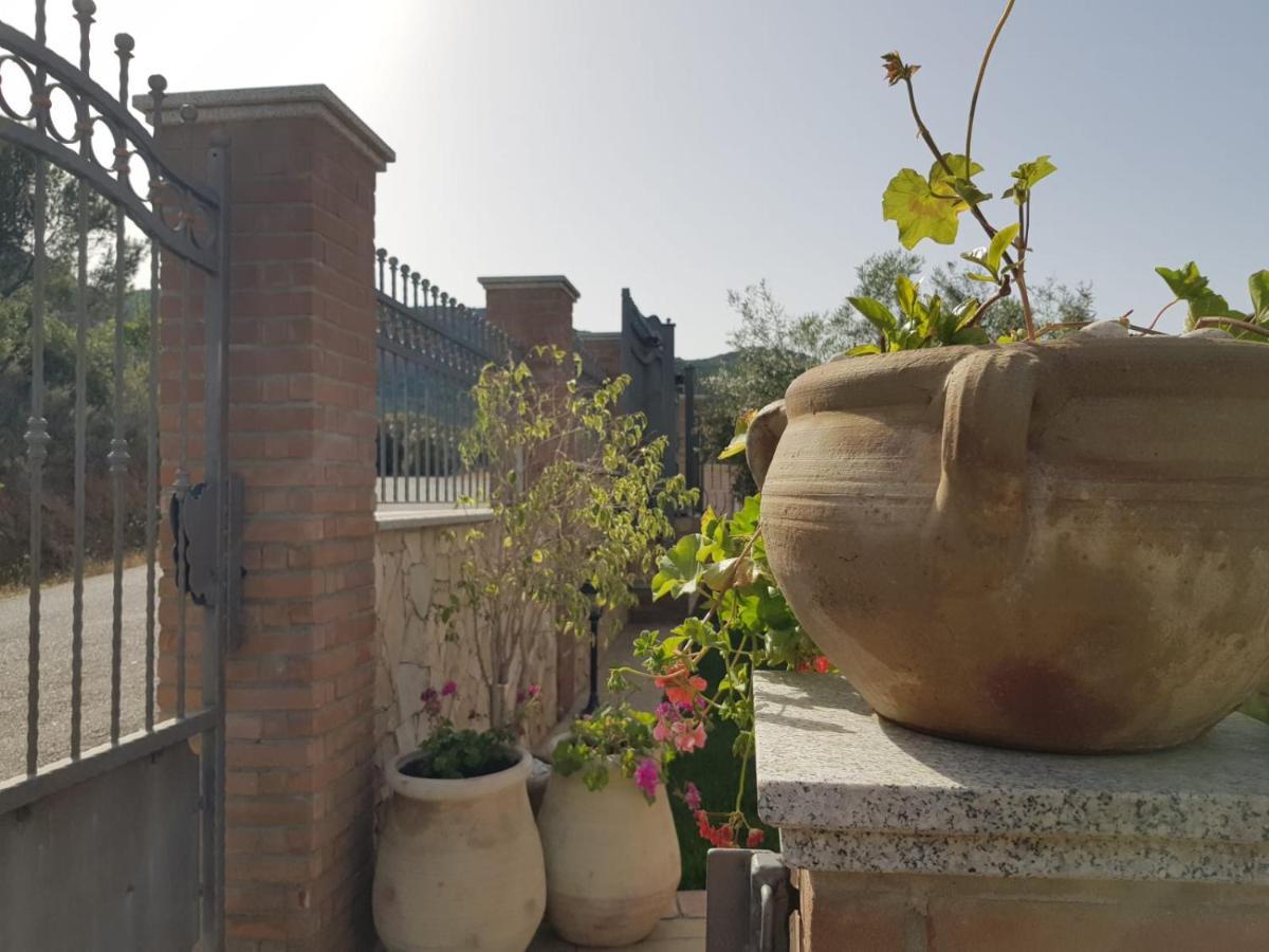 "La Pavoncella" Chia - Domus De Maria Exterior foto